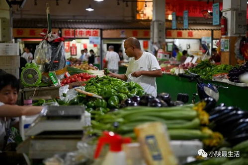 菜市场 天台咖啡屋 西安城墙根下的这个地方值得一逛